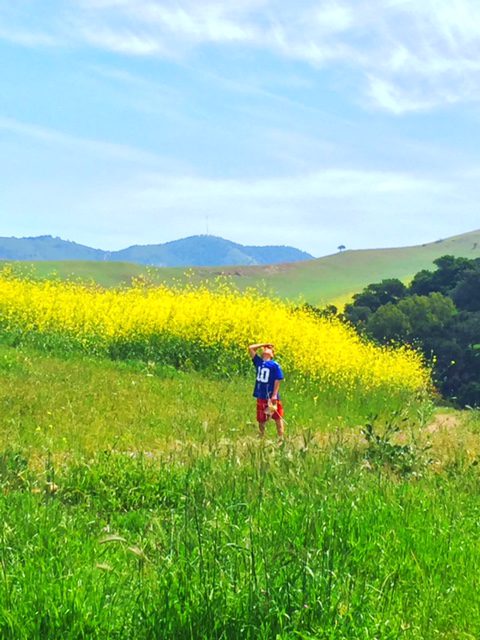 A person standing in the middle of a field